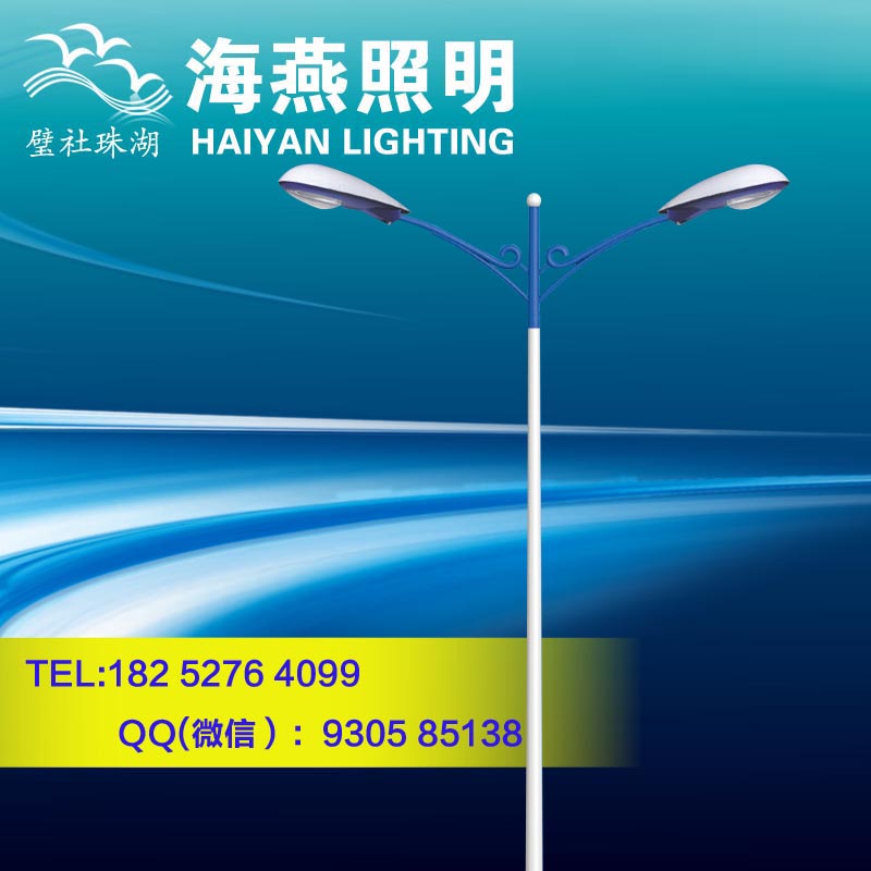 全椒双臂10米LED路灯价格